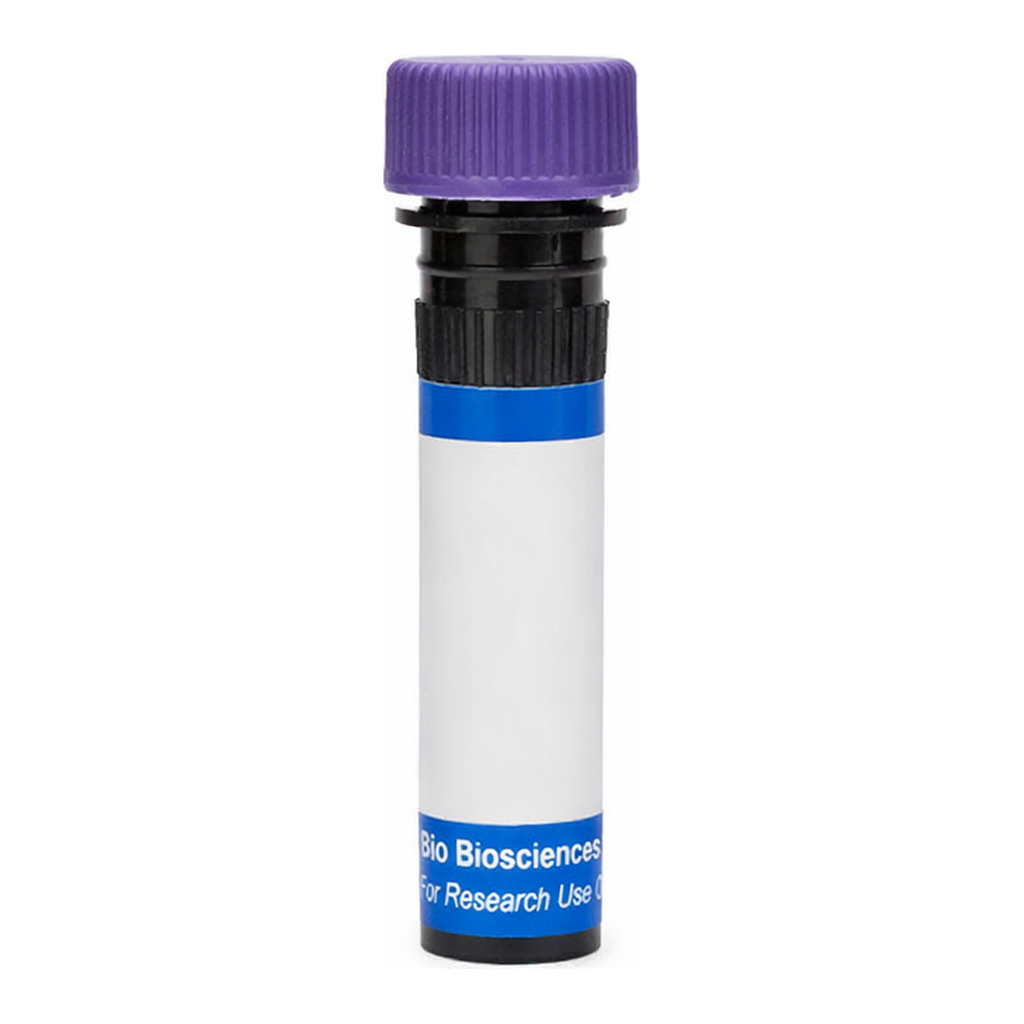 BD RB744 Mouse Anti-Human IL-9 Receptor Alpha (CD129)