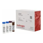 Thermo Fisher Scientific CD81 Human ProcartaPlex Simplex Kit