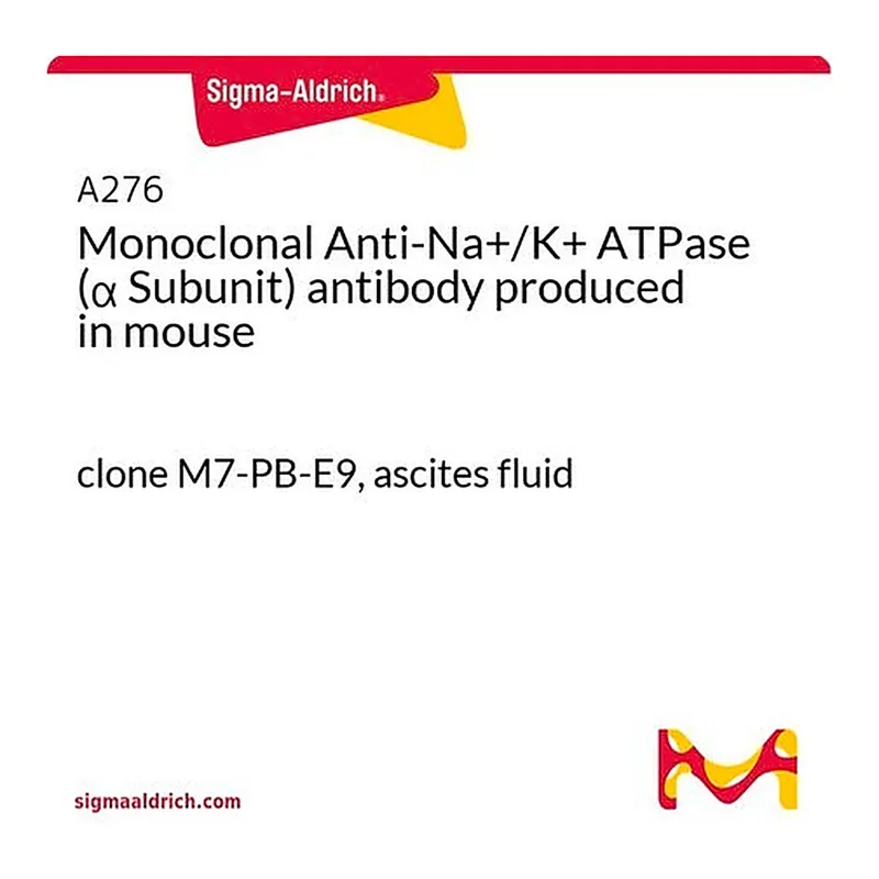 Merck Monoclonal Anti-Na+/K+ ATPase (alpha Subunit) antibody produced in mouse