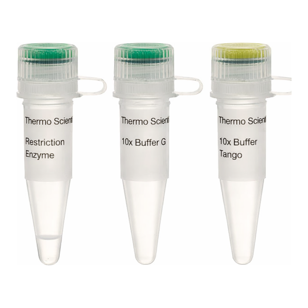 Thermo Fisher Scientific SatI (Fnu4HI) (10 U/&mu;L), 200 units