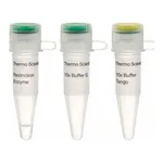 Thermo Fisher Scientific SatI (Fnu4HI) (10 U/μL), 200 units