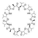 Merck Valinomycin
