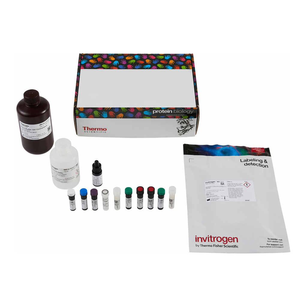 Thermo Fisher Scientific eBioscience Immune Response T Cell Activation Induced Markers Kit
