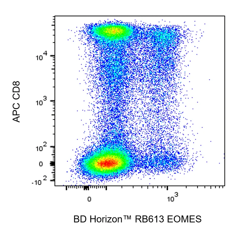 BD RB613 Mouse Anti-EOMES