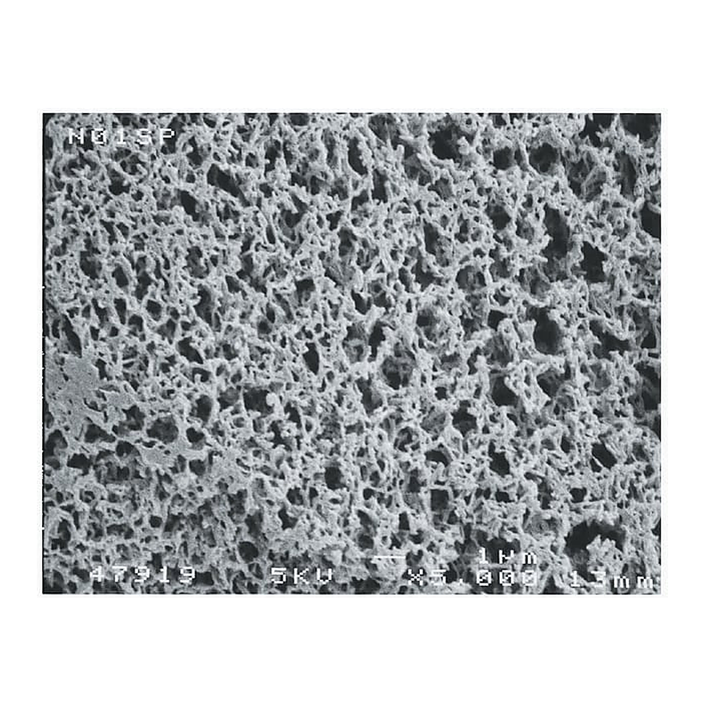 Thermo Fisher Scientific Magna Nylon Membrane Filters