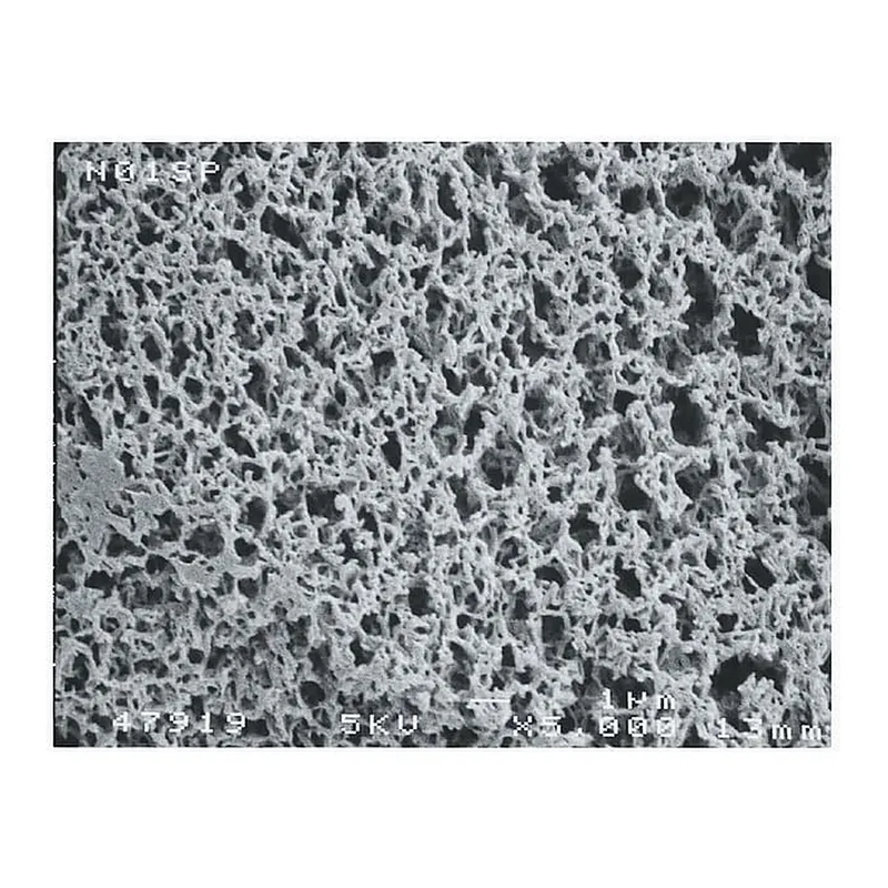 Thermo Fisher Scientific Magna Nylon Membrane Filters