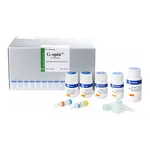 Intron G-DEX™ IIc DNA Rehydration Buffer