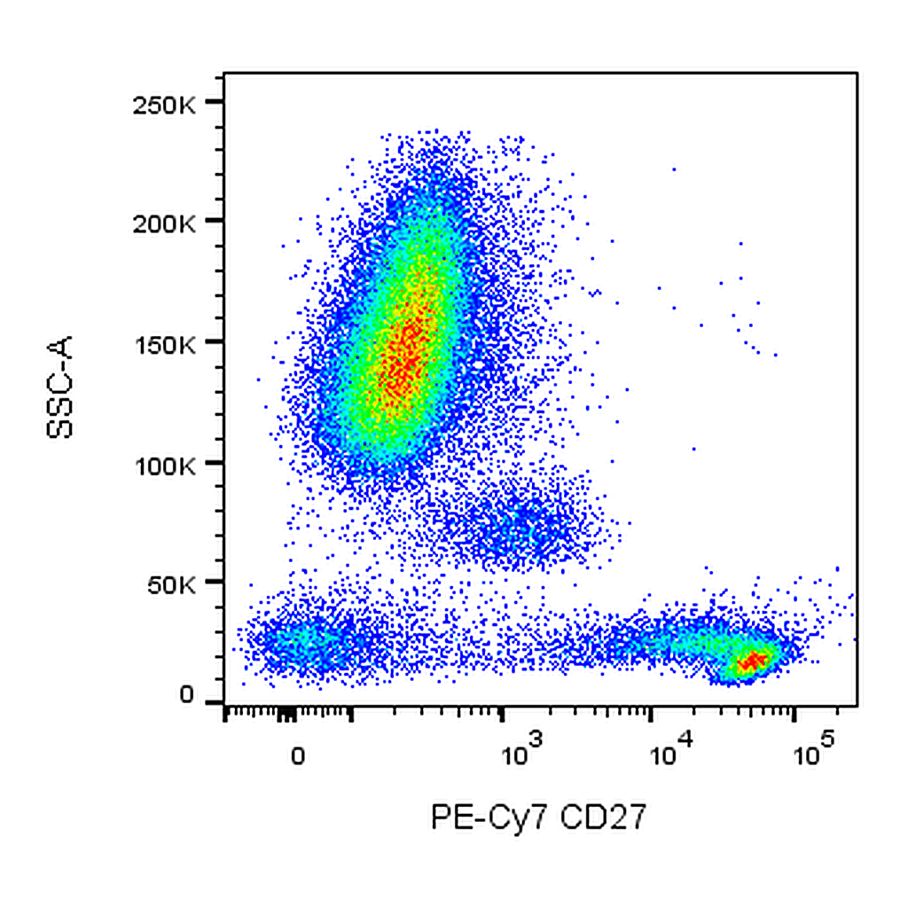 BD PE-Cy7 Mouse Anti-Human CD27