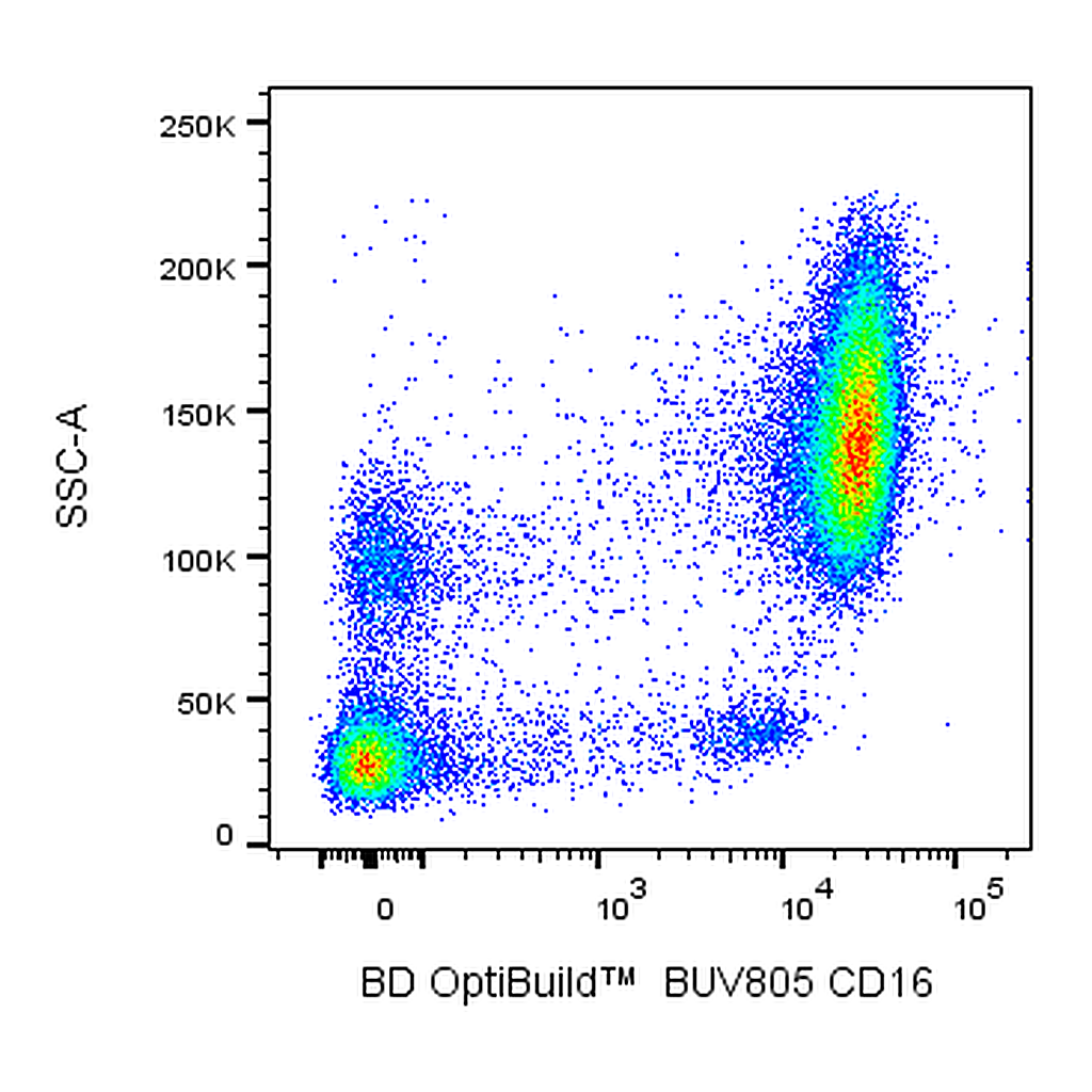 BD BUV805 Mouse Anti-Human CD16
