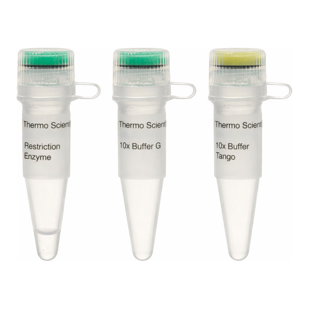 Thermo Fisher Scientific SfiI (10 U/&mu;L)