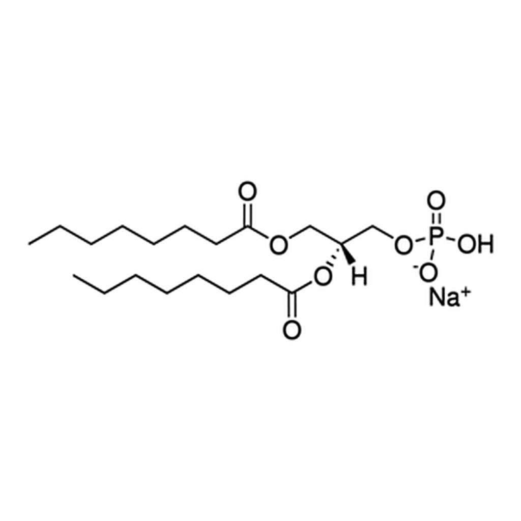 Merck 08:0 PA