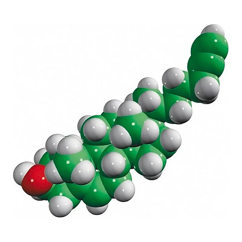 Merck alkyne-cholesterol