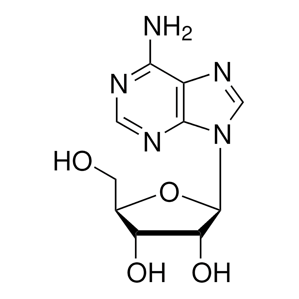Merck Adenosine