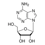 Merck Adenosine