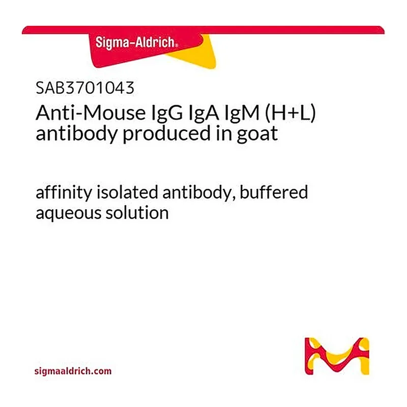 Merck Anti-Mouse IgG IgA IgM (H+L) antibody produced in goat