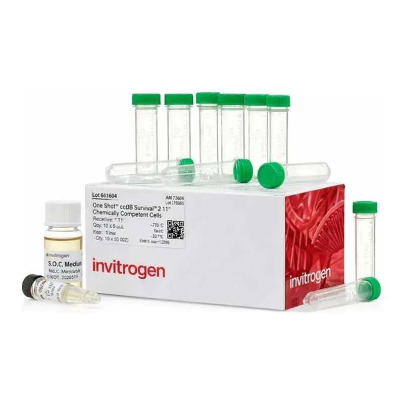 Thermo Fisher Scientific One Shot ccdB Survival 2 T1<sup>R</sup> Competent Cells