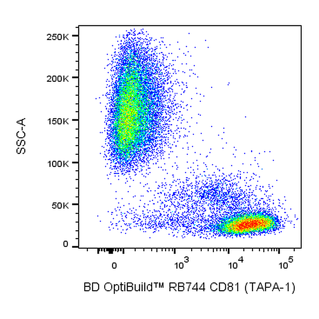 BD RB744 Mouse Anti-Human CD81 (TAPA-1)