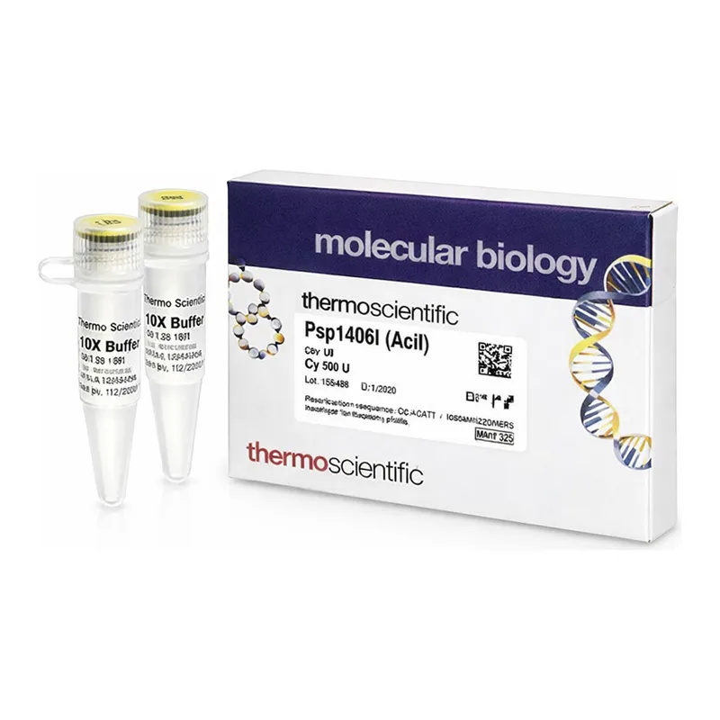 Thermo Fisher Scientific Psp1406I (AclI) (10 U/μL), 300 units