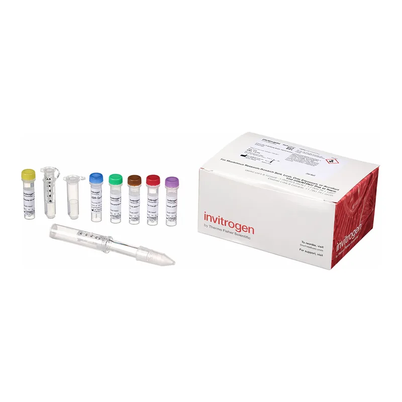 Thermo Fisher Scientific SiteClick Antibody Azido Modification Kit, for 1 mg of Ab