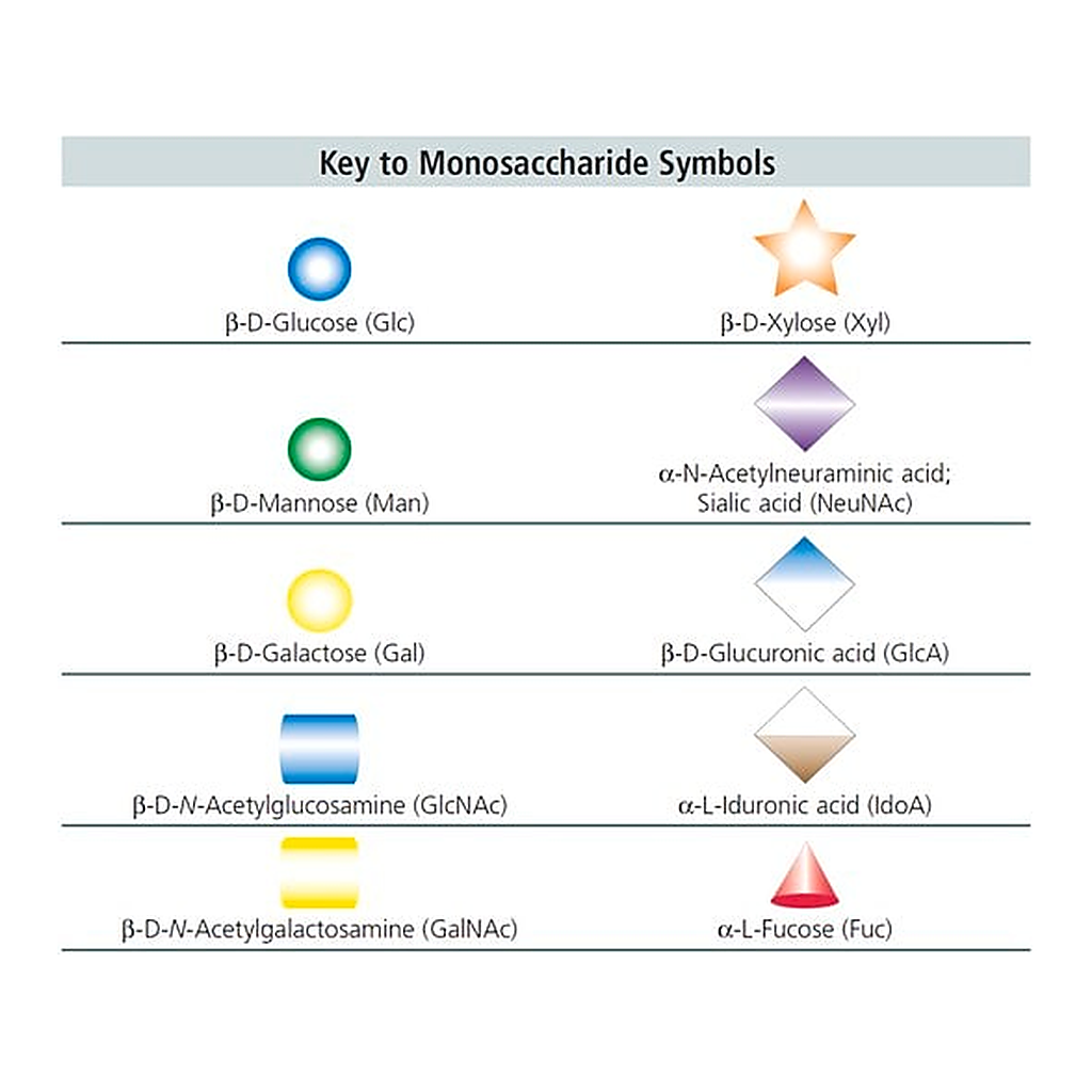 Merck 4beta-Galactobiose
