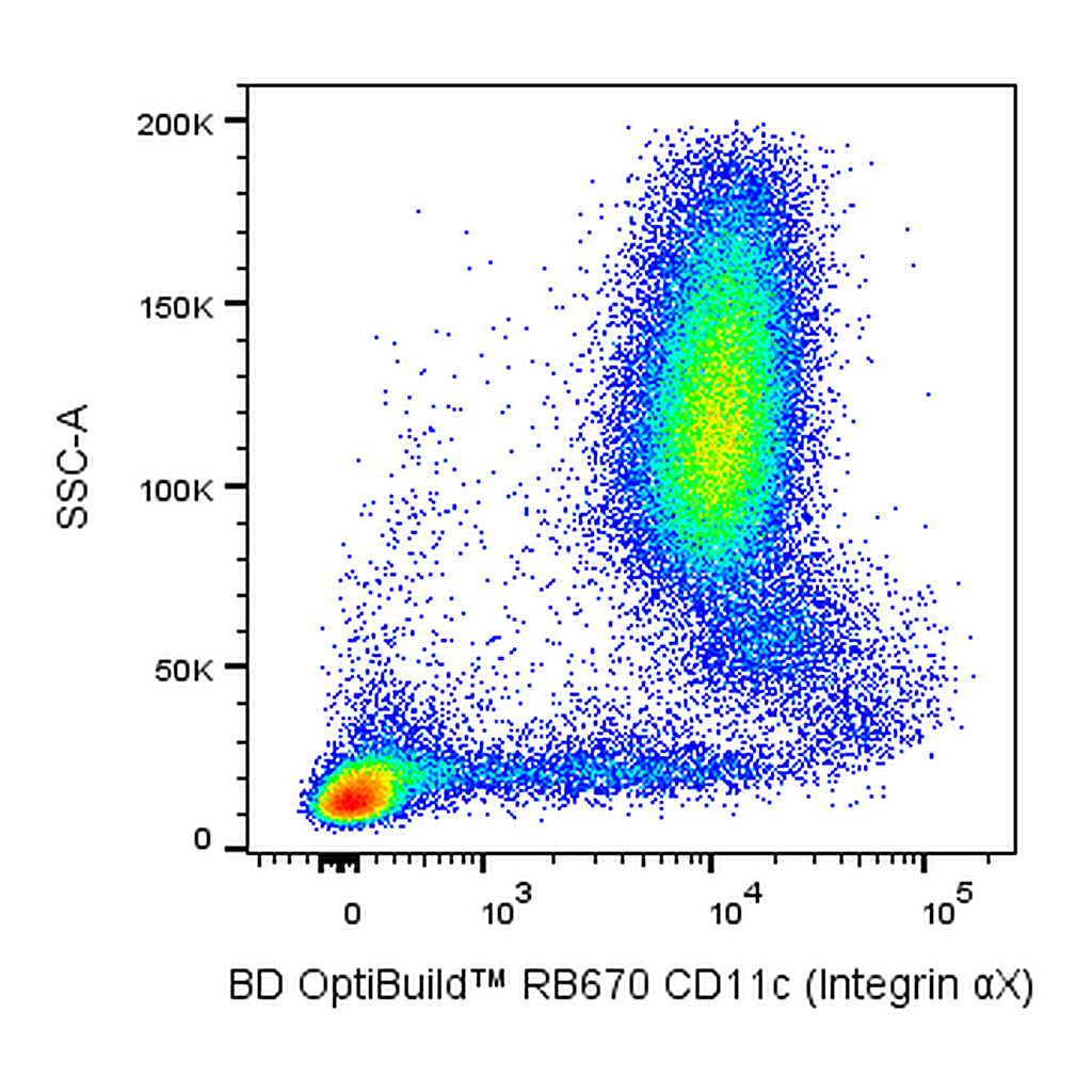 BD RB670 Mouse Anti-Human CD11c (Integrin αX)