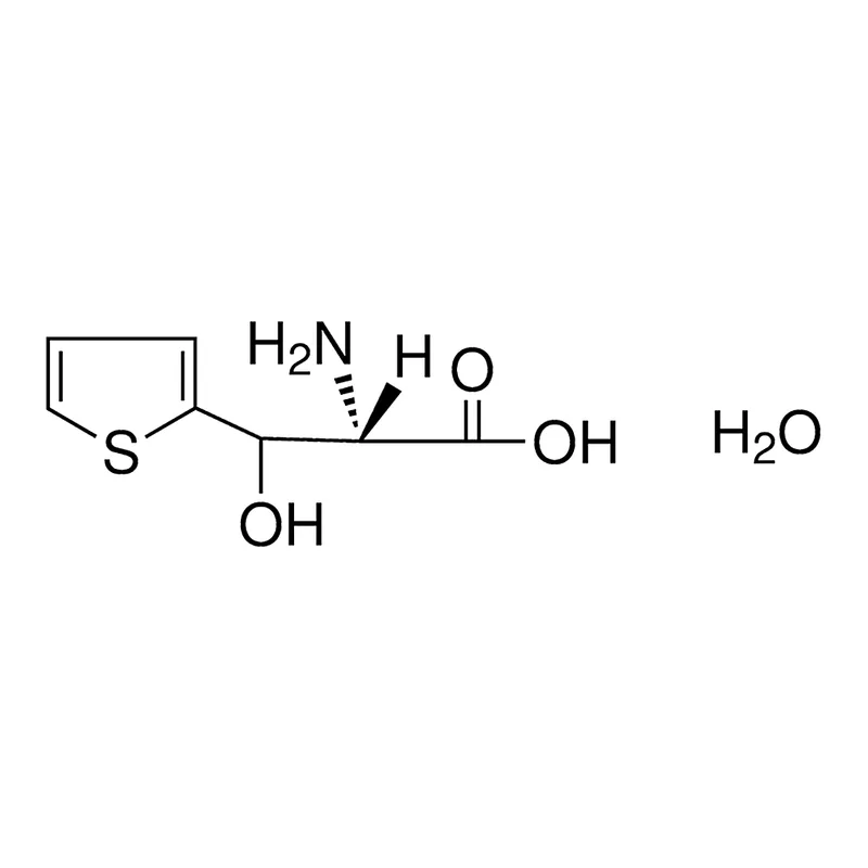 Merck 3-(2-THIENYL)-L-SERINE MONOHYDR-