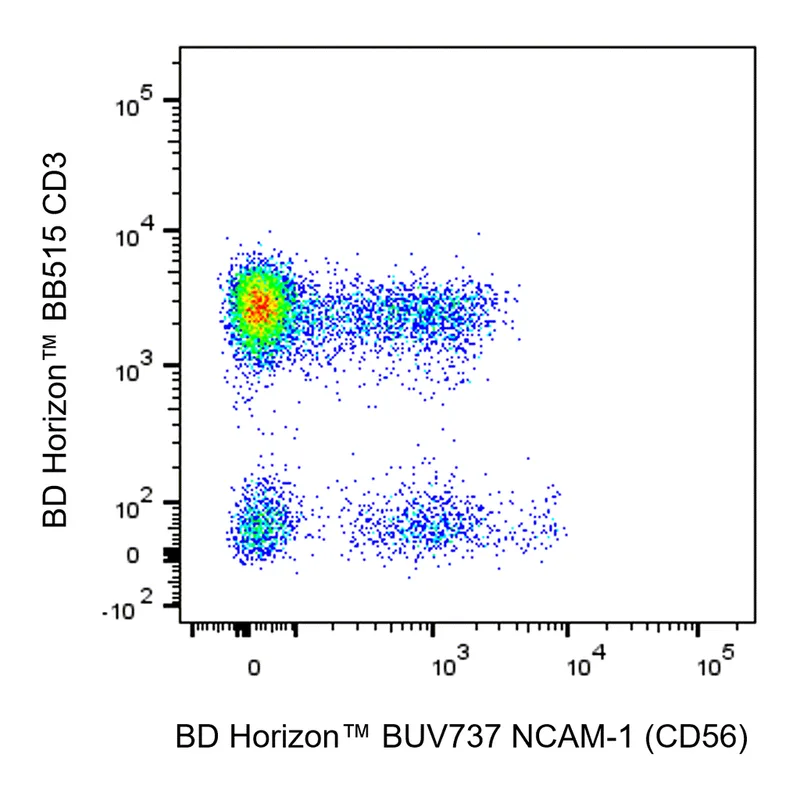 BD BUV737 Mouse Anti-Human NCAM-1 (CD56)