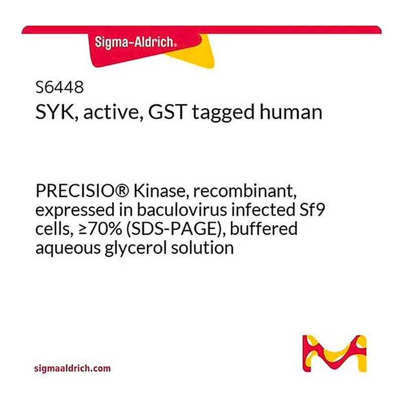 Merck SYK, active, GST tagged human