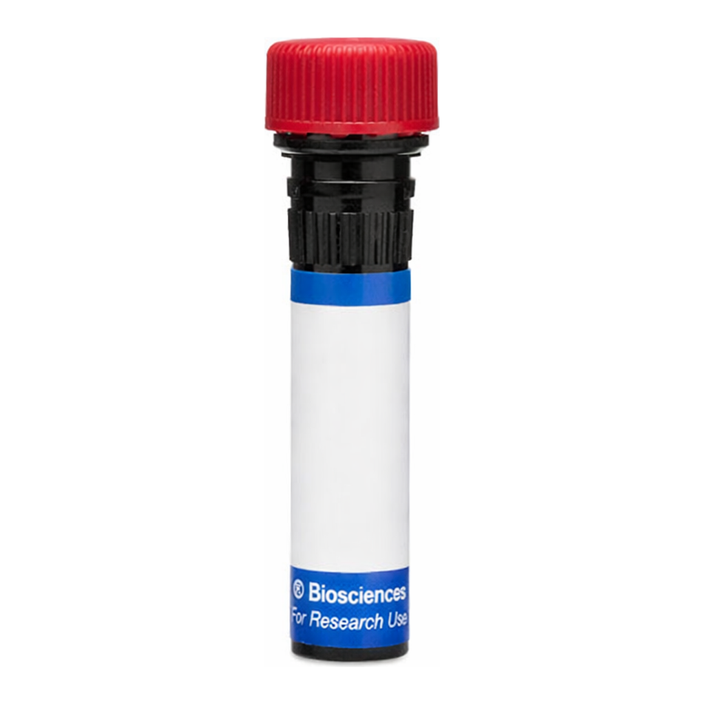 BD RB670 Mouse Anti-Human CD206 (Mannose Receptor)