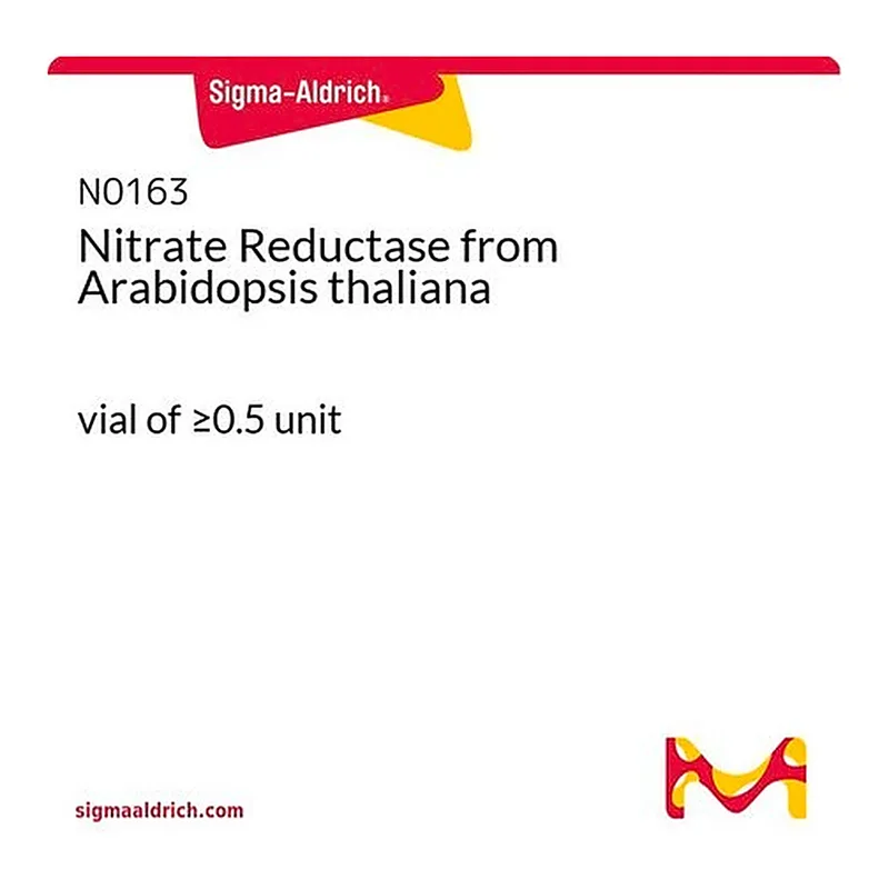 Merck Nitrate Reductase from Arabidopsis thaliana