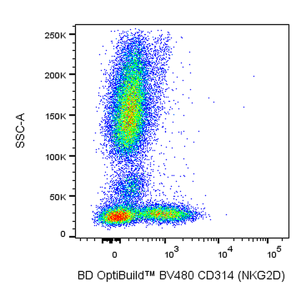 BD BV480 Mouse Anti-Human CD314 (NKG2D)