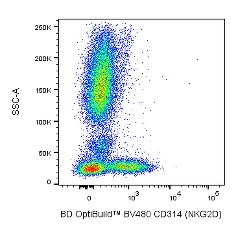 BD BV480 Mouse Anti-Human CD314 (NKG2D)