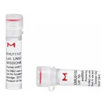 Merck MISSION(R) esiRNA