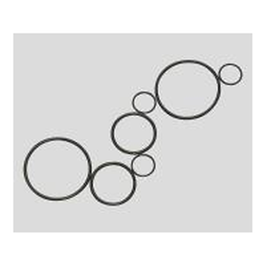 AS ONE Fluorine Rubber O-Ring(FluoroPlus™), 불소고무 O링(플로로플러스)