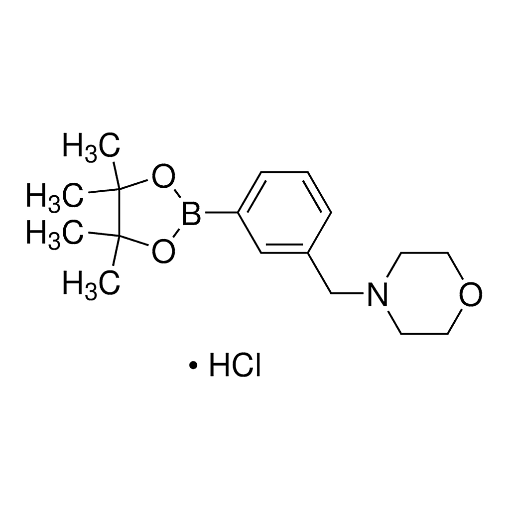 Merck 3-(4-Morpholinomethyl)phenylboronic acid, pinacol ester hydrochloride