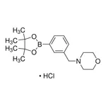 Merck 3-(4-Morpholinomethyl)phenylboronic acid, pinacol ester hydrochloride