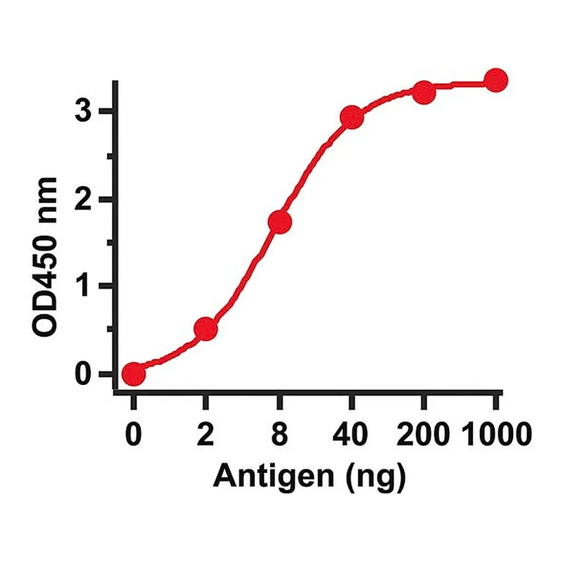Merck Anti-SARS-CoV Spike antibody produced in rabbit
