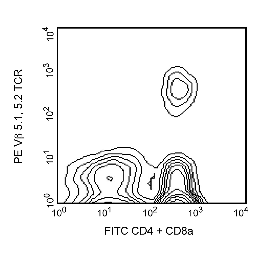 BD PE Mouse Anti-Mouse Vβ 5.1, 5.2 T-Cell Receptor