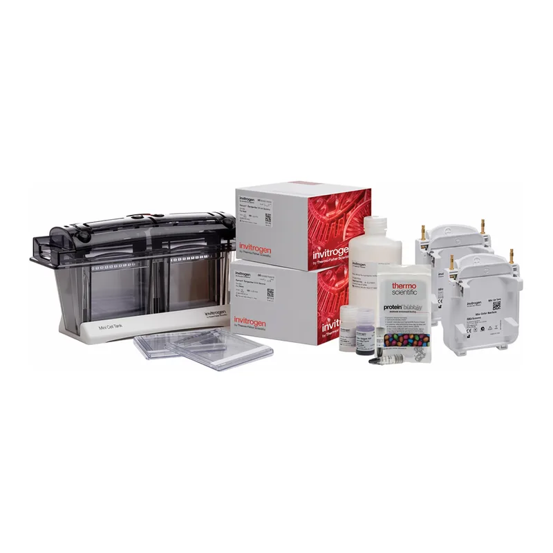 Thermo Fisher Scientific Bolt Bis-Tris Plus Welcome Pack and Mini Blot Modules, 4-12%, 10-well, 1 kit