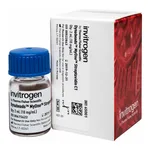 Thermo Fisher Scientific Dynabeads MyOne Streptavidin C1, 2 mL