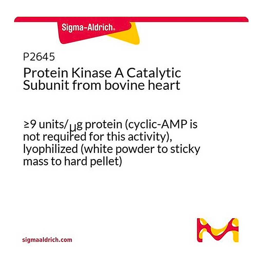 Merck Protein Kinase A Catalytic Subunit from bovine heart