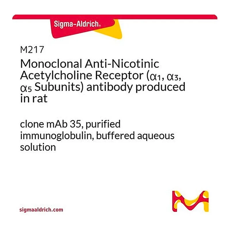 Merck Monoclonal Anti-Nicotinic Acetylcholine Receptor (alpha1, alpha3, alpha5 Subunits) antibody produced in rat