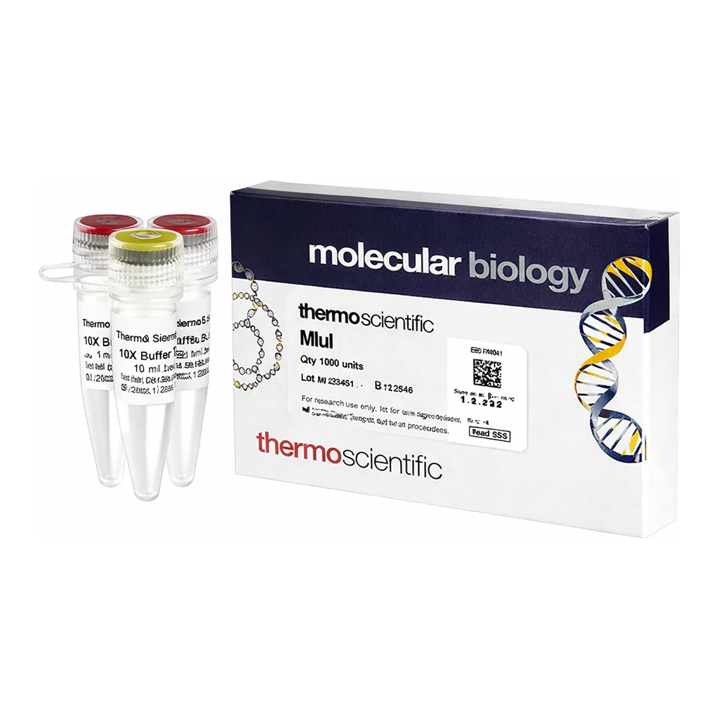 Thermo Fisher Scientific MluI (10 U/&mu;L), 1,000 units