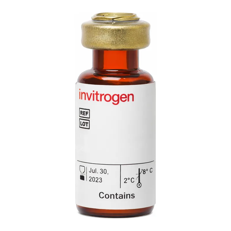Thermo Fisher Scientific Avidin, HRP conjugate