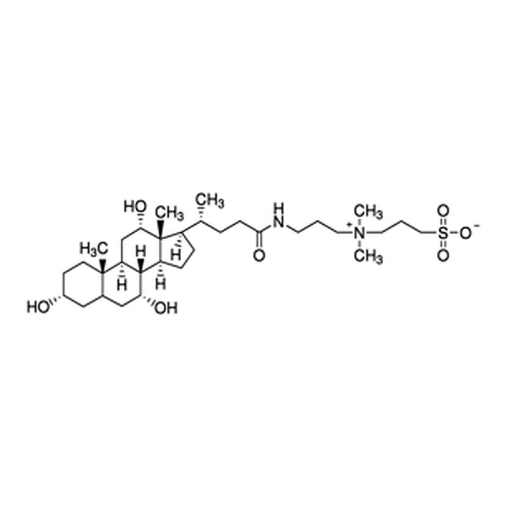 Merck CHAPS Solution