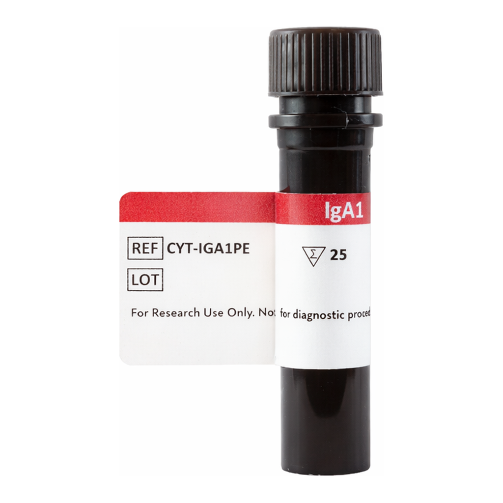 BD IgA1-PE
