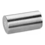Waters Symmetry C18 Sentry Guard Cartridge, 300 Å, 3.5 µm, 2.1 mm X 10 mm, 2/pk