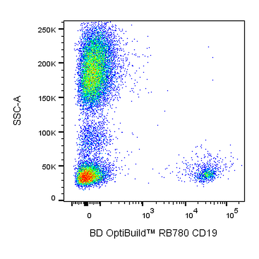BD RB780 Mouse Anti-Human CD19