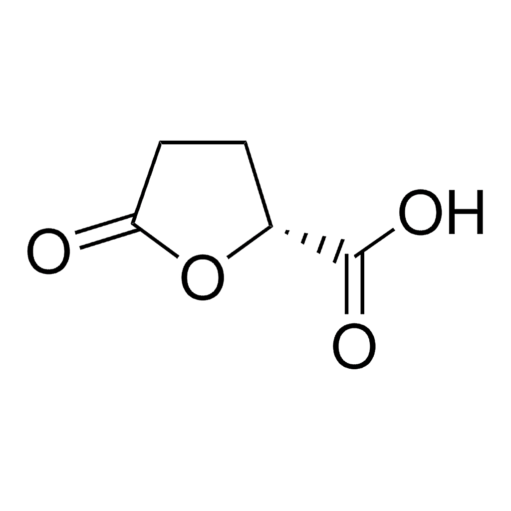Merck (R)-(-)-5-Oxo-2-tetrahydrofurancarboxylic acid