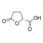 Merck (R)-(-)-5-Oxo-2-tetrahydrofurancarboxylic acid